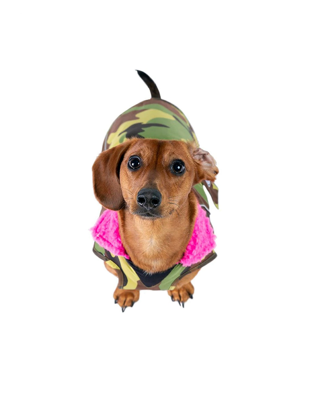 Dryrobe Dog Coat image 6