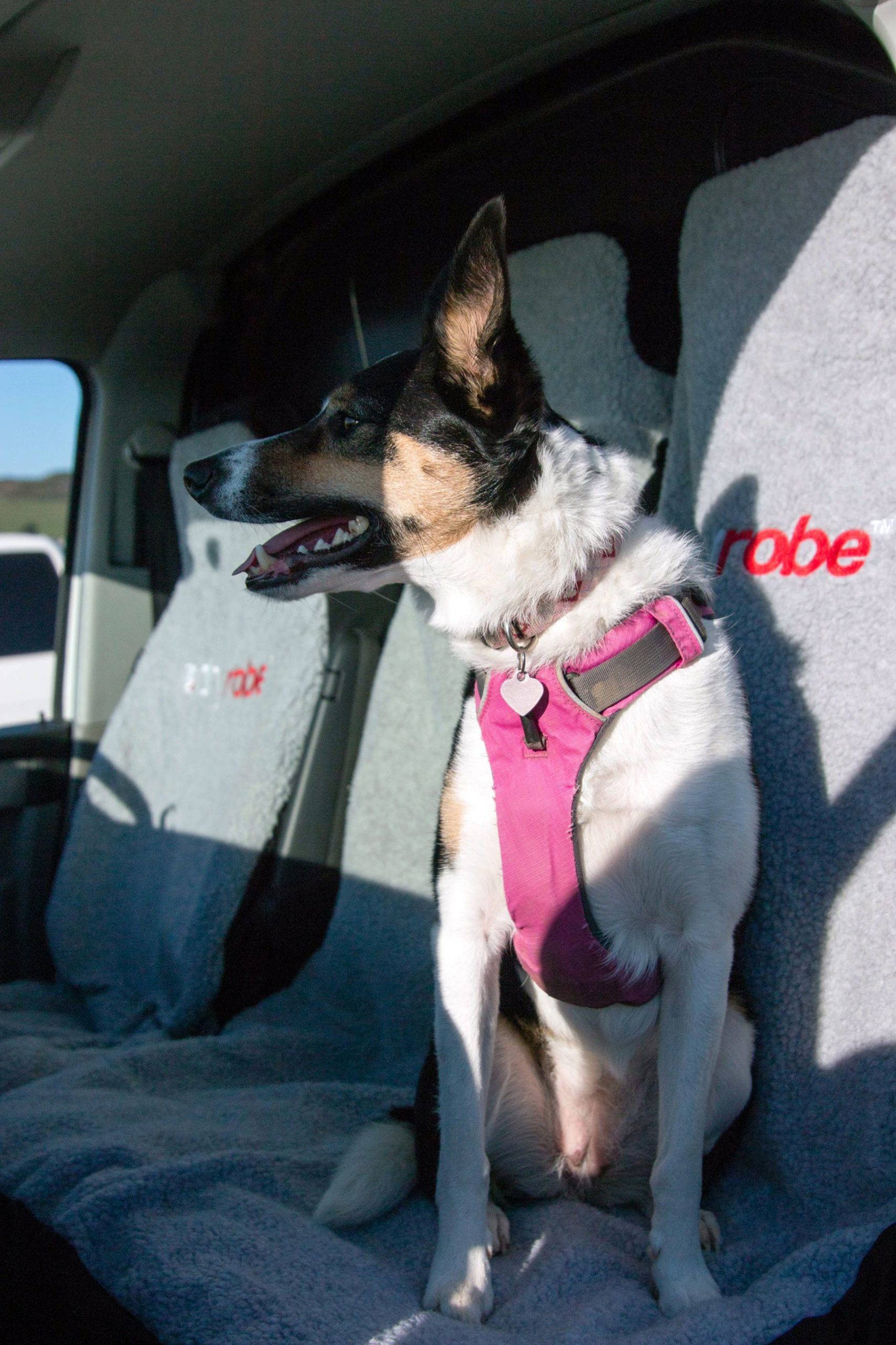 Dryrobe Single Car Seat Cover image 5