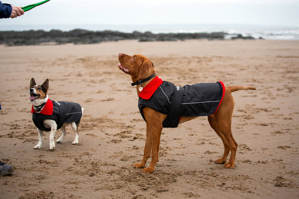 Dryrobe Dog Coat image 0